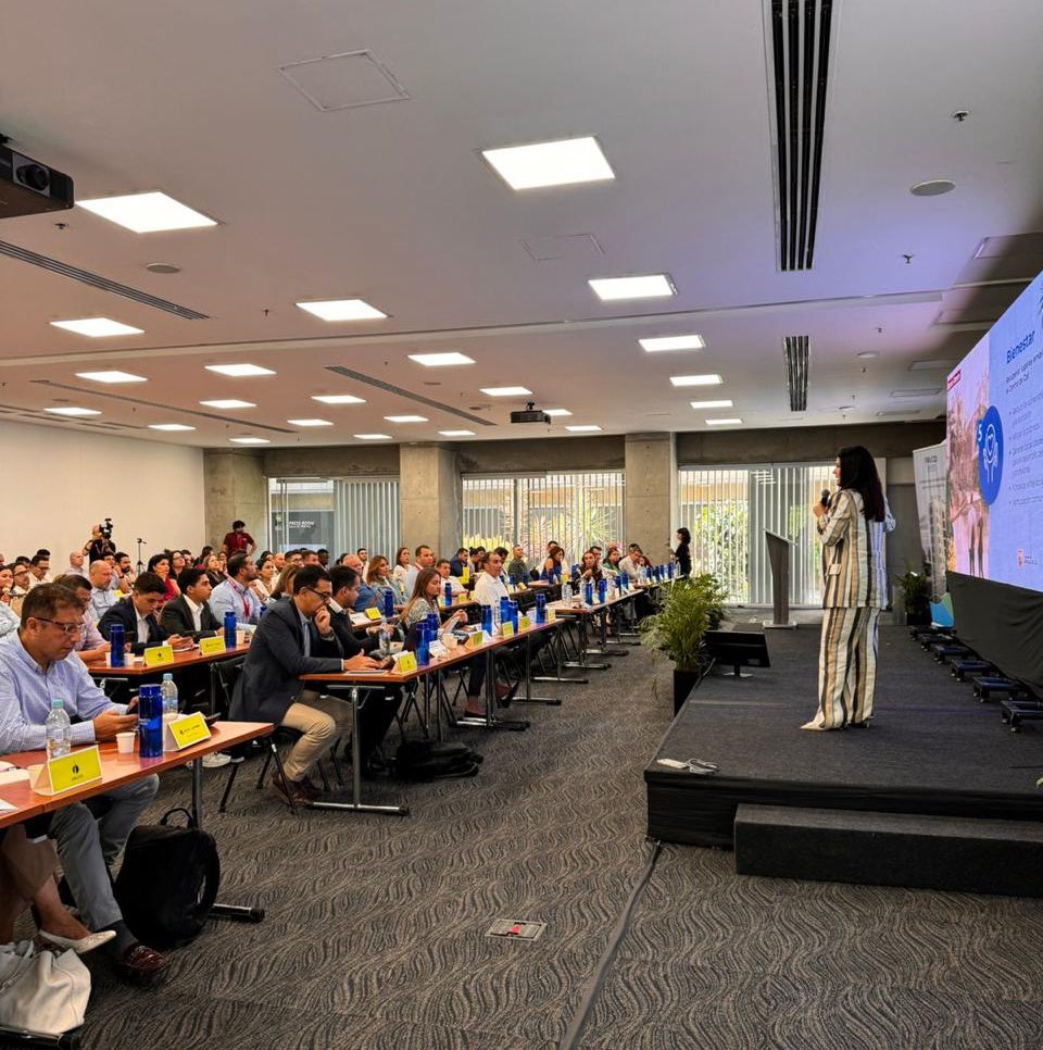 Empresa de Desarrollo y Renovación Urbana tweet media