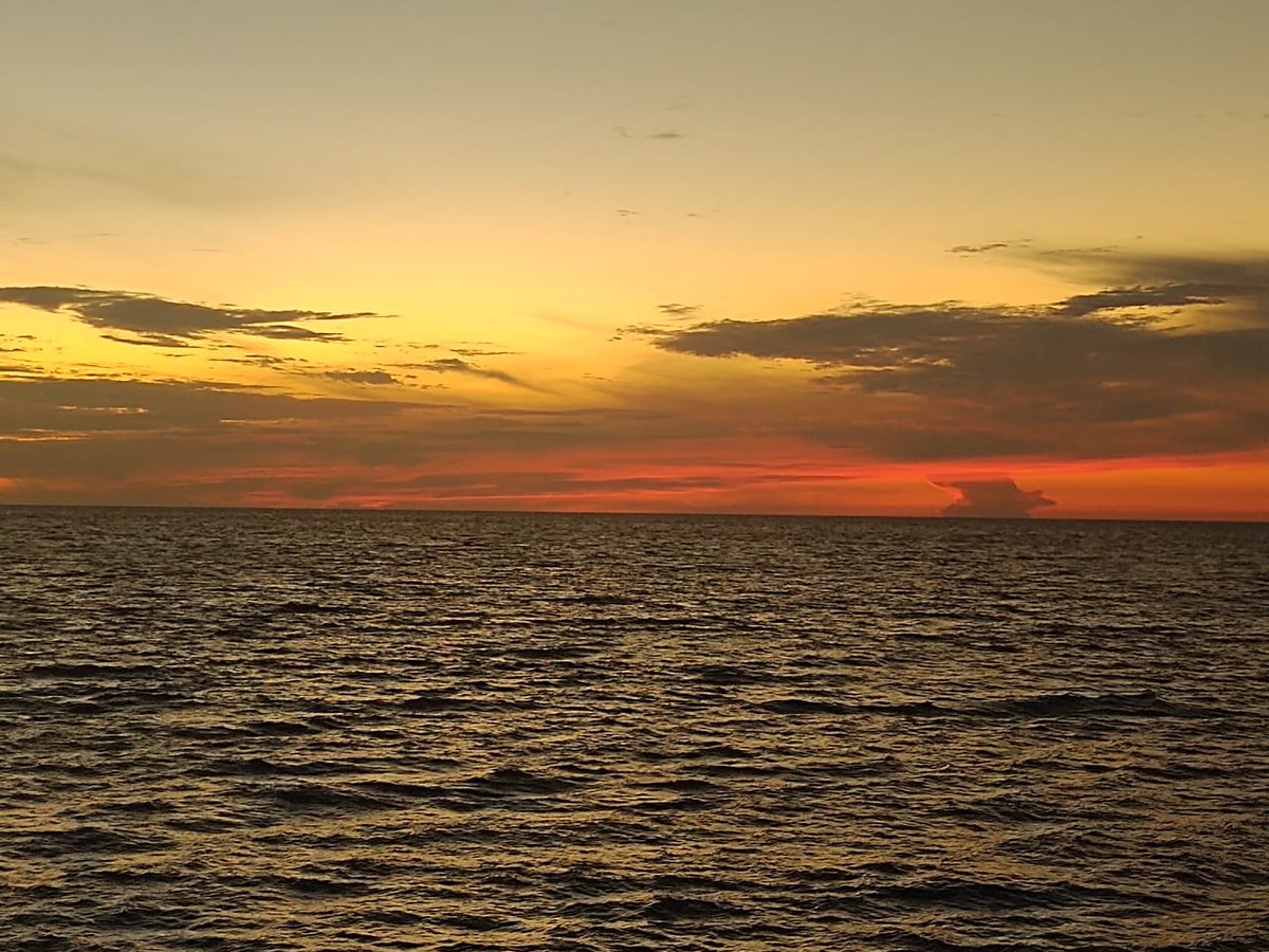 JaramilloIta's tweet image. Atardecer Tolú
#tolúcoveñas #vacaciones #playabrisamar