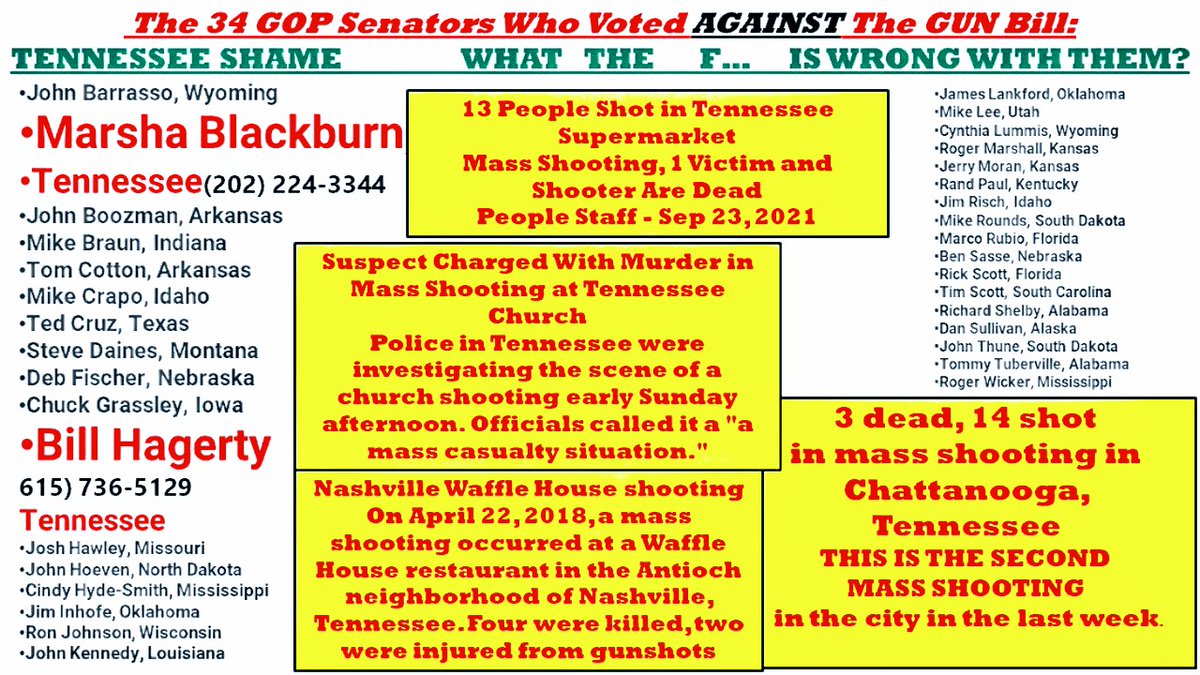 rr7lv's tweet photo. @TNSenateDems @SenAkbari @SenatorLamar Bravo @Justinjpearson !
#TurnTennesseeBlue
#TNwillNotGoBack
@tndp @VoteGloriaJ @MaryamForTN @JaneGeorgeTN 
Beat
@MarshaBlackburn 
@AndyOgles 
@RepTimBurchett 
#VoteBlueDownBallott 
#DNC2024CHICAGO https://t.co/KeCHzuU2Ko