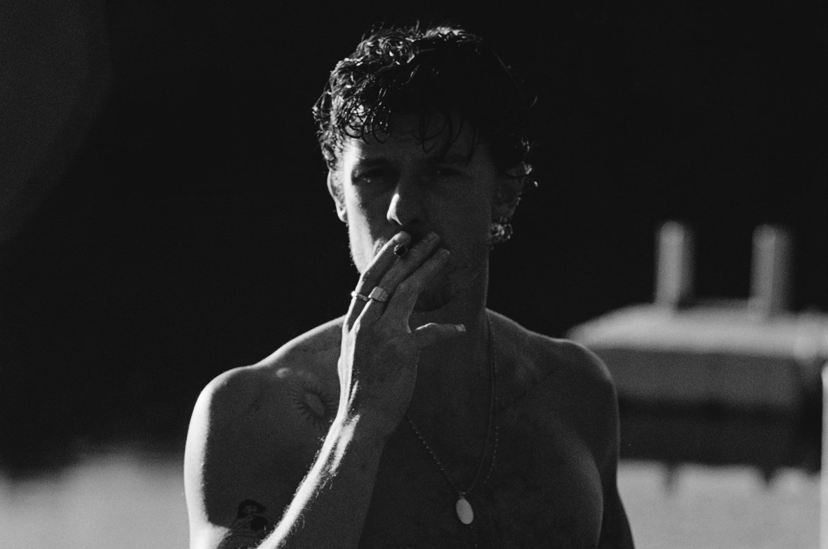 Shawn Mendes tweet media