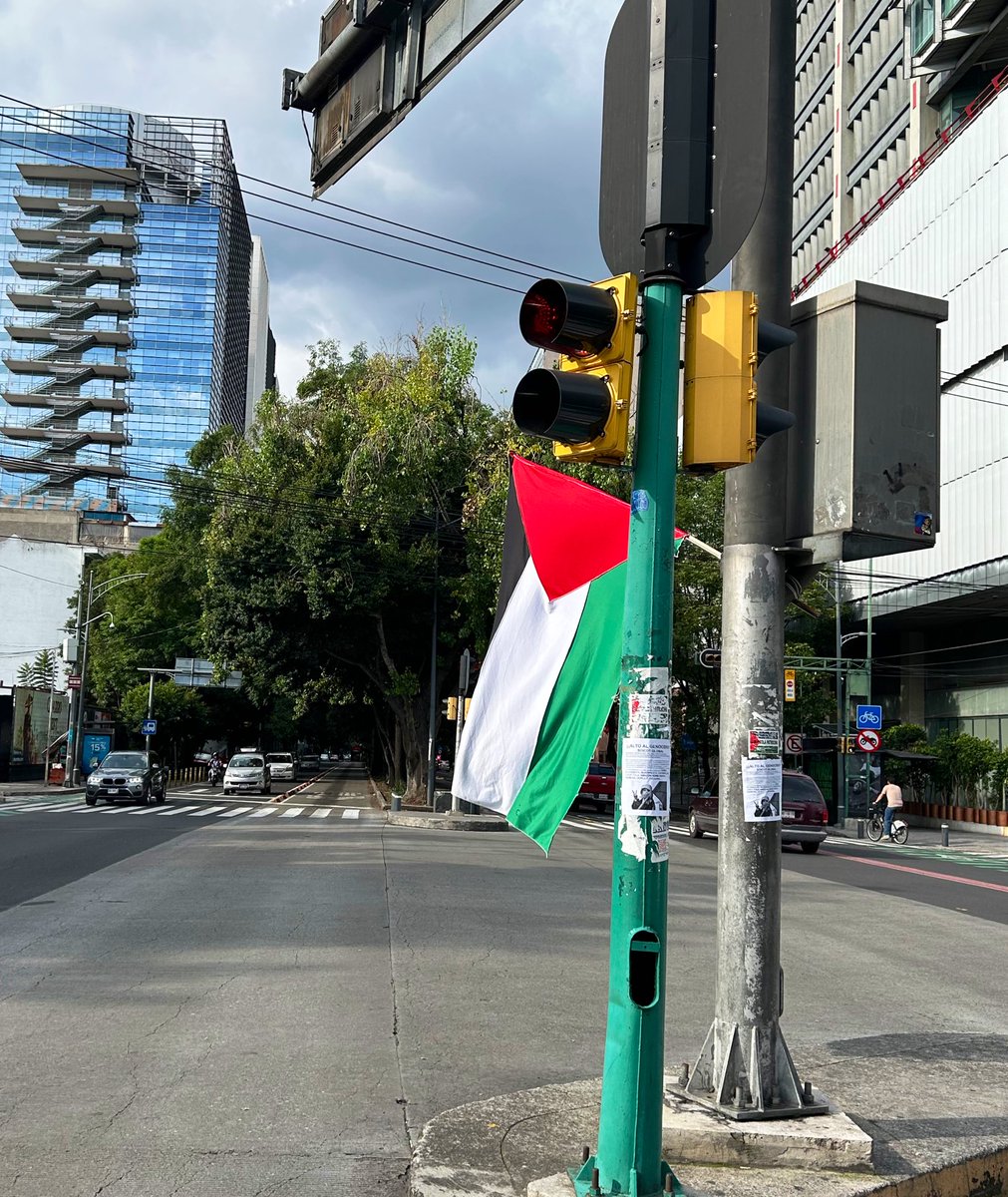 En la esquina de Insurgentes y Eje 5 Sur hay un señor que siempre pone una bandera de Palestina. Aunque la quiten, él insiste y la vuelve a poner.

En esa insistencia reside una forma de solidaridad rebelde y poderosa ♥️