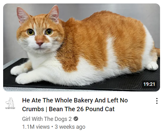 He Ate The Whole Bakery And Left No Crumbs