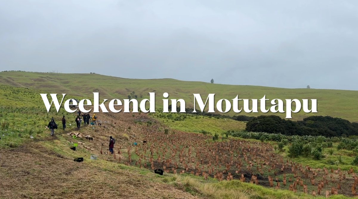 Spent a beautiful weekend on Motutapu for the 2024 Planting Day with Ngāi Tai ki Tāmaki! 🌱 Check out the highlights and join us in giving back to the land. 

Watch the vlog here: youtu.be/XvVqDtXMc8o?si… 

#Motutapu #PlantingDay #Conservation