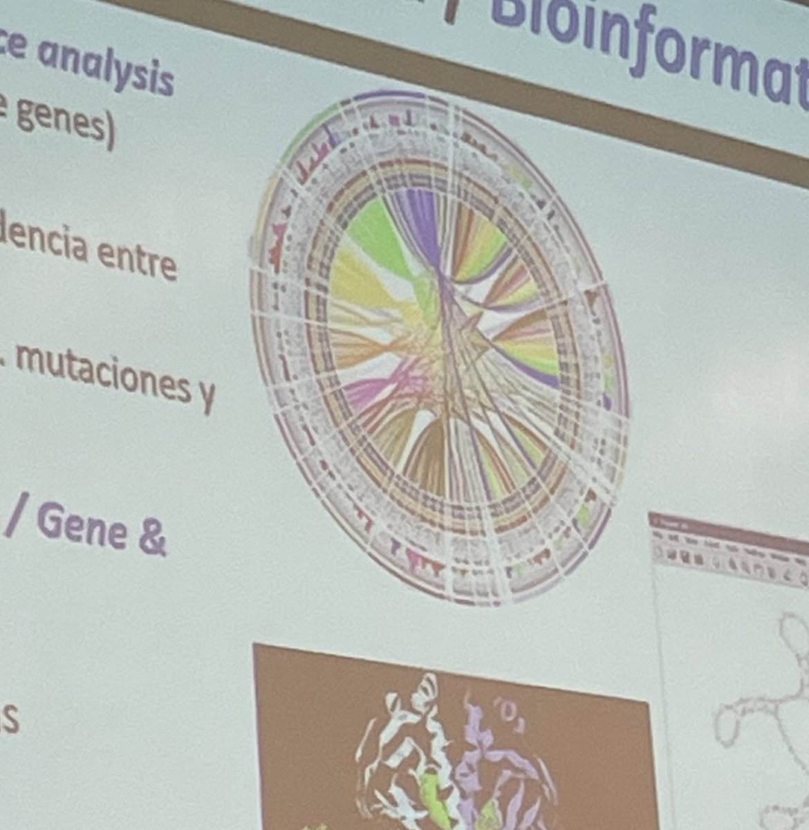 alfmhm's tweet photo. amo los gráficos imposibles de interpretar a simple vista, que parecen solo un artistic choice https://t.co/92Rr5knmQ8
