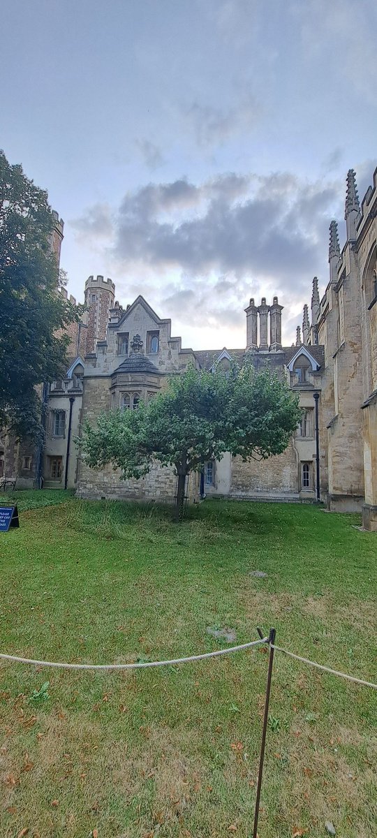 Mo Rasul tweet media