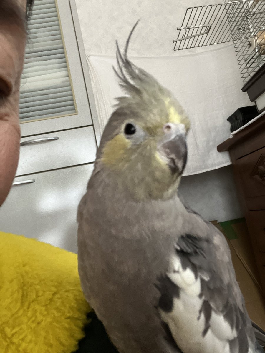 空 (@YaHiS75HpPi3RDa) / Posts / X