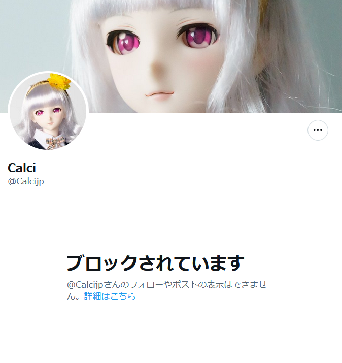 点字ブロックの件で赤っ恥の人形アイコンにもブロックされてたわｗ