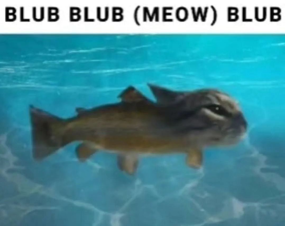 Punch Cat (@punchingcat) on Twitter photo 