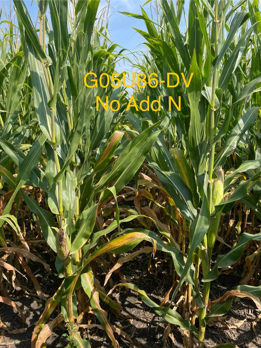 Andrew Rupe tweet media