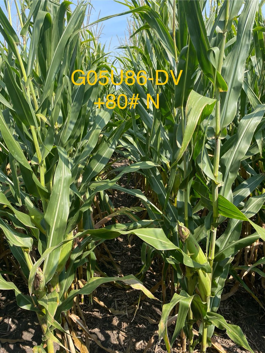 Andrew Rupe tweet media