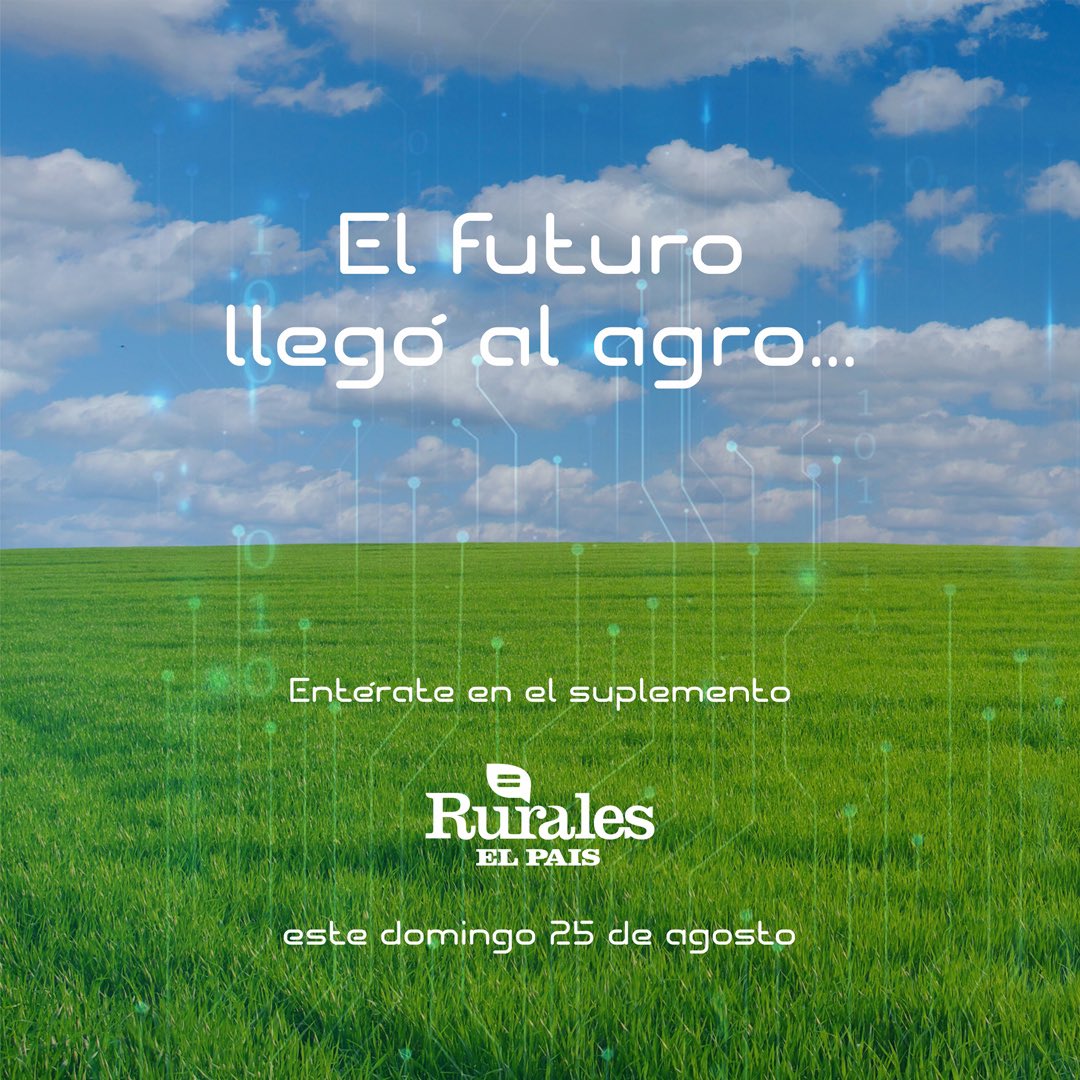 Pablo D. Mestre (@pablodmestre) on Twitter photo 