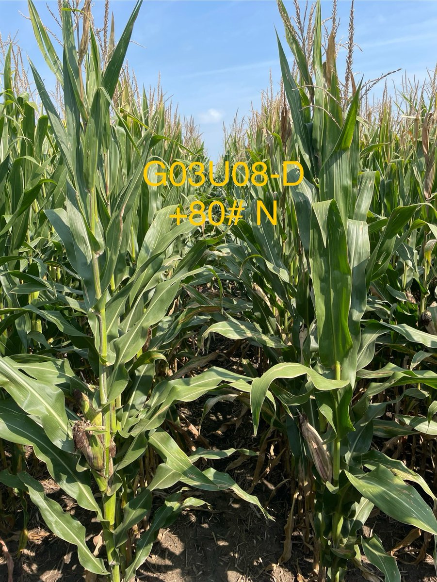 Andrew Rupe tweet media