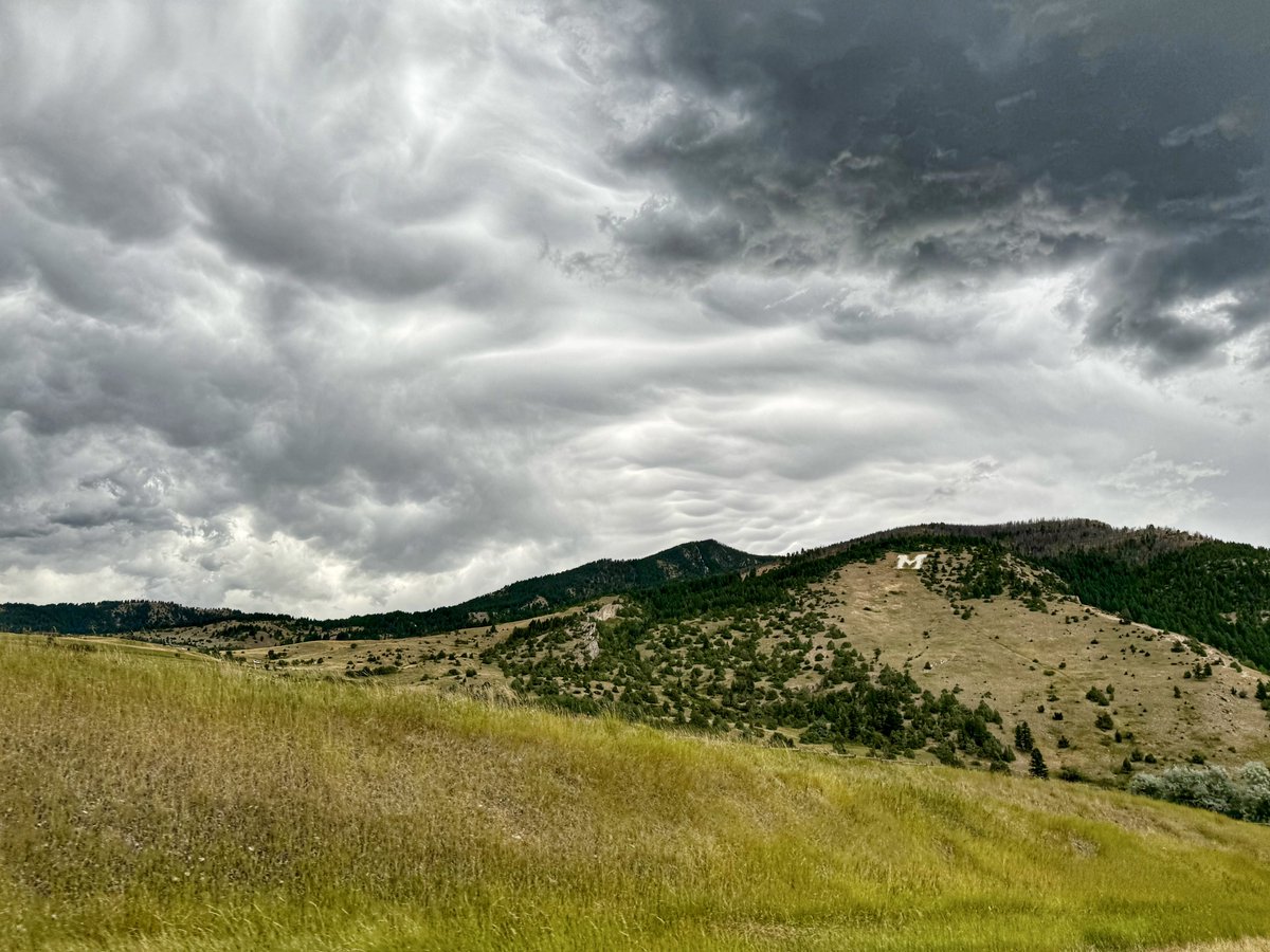 D. Scott tweet media