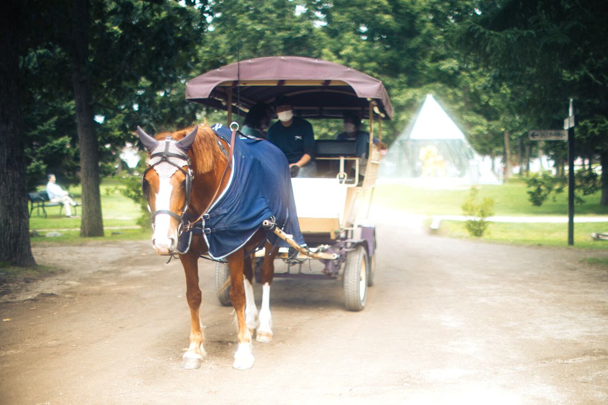 馬車が走る お願いだからレッカーしないでぇ～。俺まだ走れるよぉ
