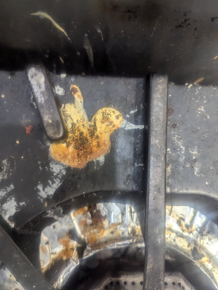 wkhayes4's tweet photo. Old dirty burner duck https://t.co/geWRREZCVJ