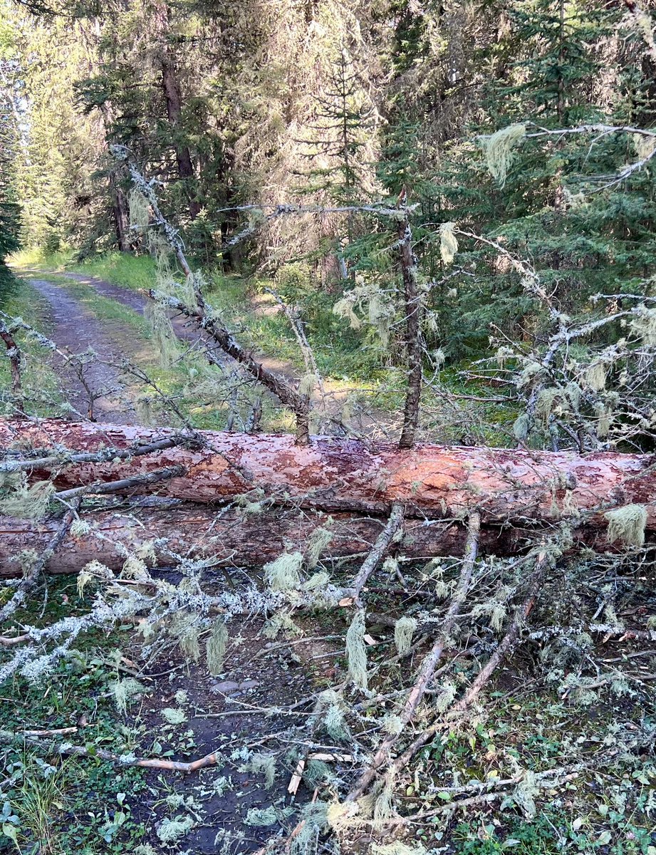 The Thankful Outdoorsman tweet media