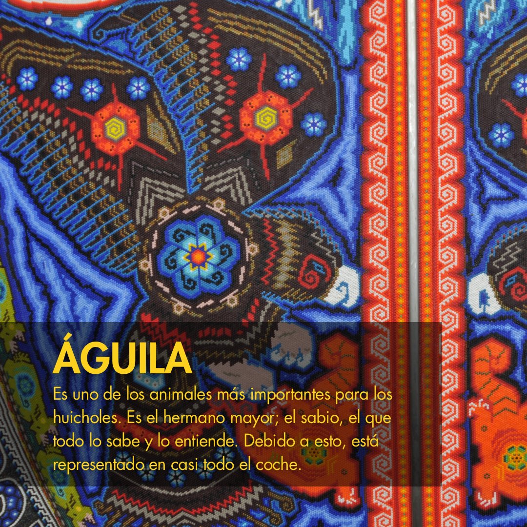 vochol's tweet photo. 💫Gracias a sus impresionantes diseños, Vochol® ha cautivado a miles de personas. 

🦅El águila representa el puente de comunicación entre el hombre y Dios. El Águila Bicéfala se encuentra en los cuatro puntos cardinales del coche, simbolizando también la conexión divina. https://t.co/ZKwYtCXqto