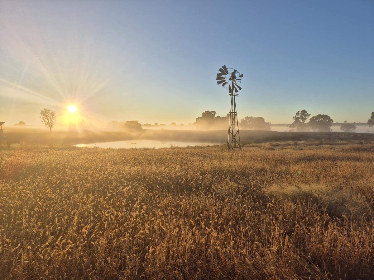 Shout out to Brandon, a Traditional Owner of Iman Country for capturing these stunning landscape shots whilst out with one of our field teams. Everyday, our staff are blown away by the beauty of our outdoor office.
#EverickHeritage #Fieldwork #landscape #Country #HeritageMatters