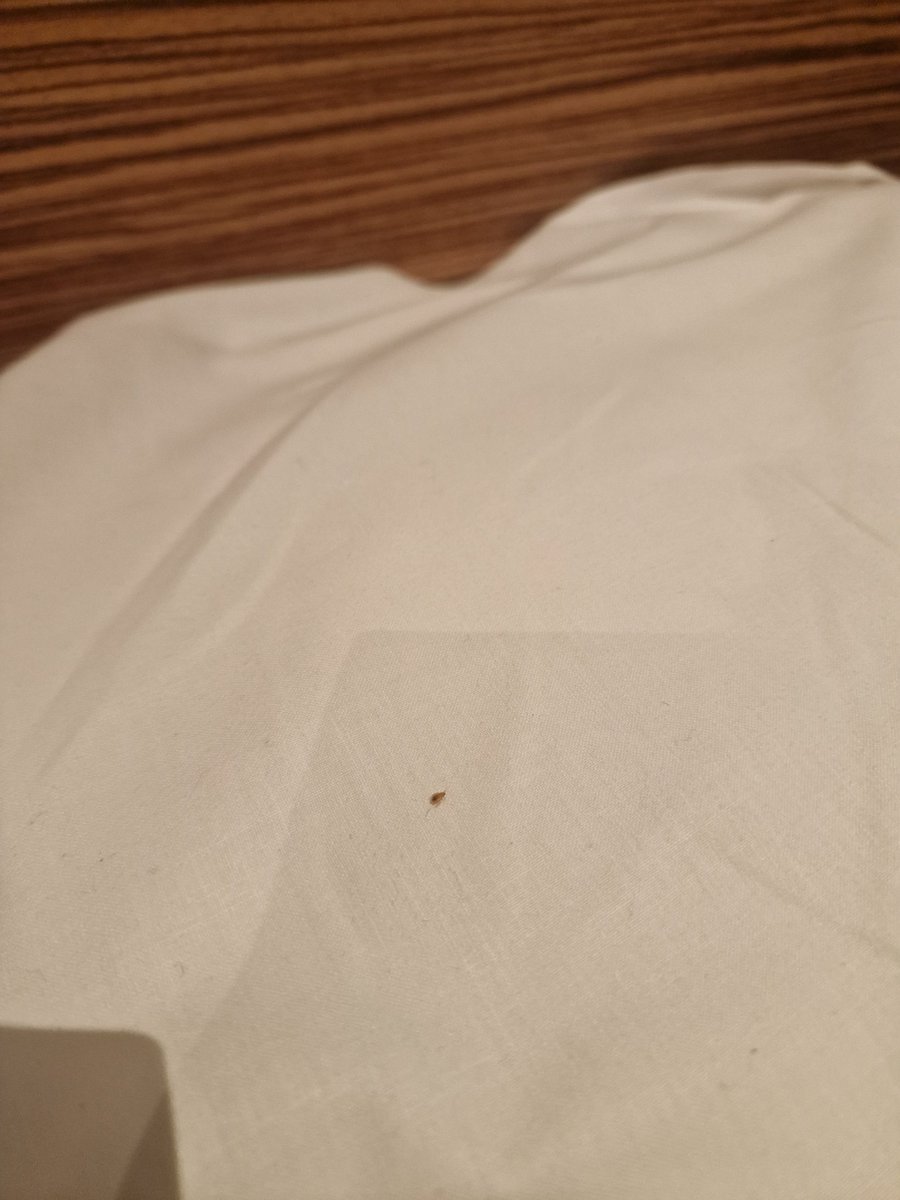 MBuckwright's tweet photo. @TravelodgeUK bed ridden with Bedbugs....what is going on! https://t.co/mGRppWcAEj
