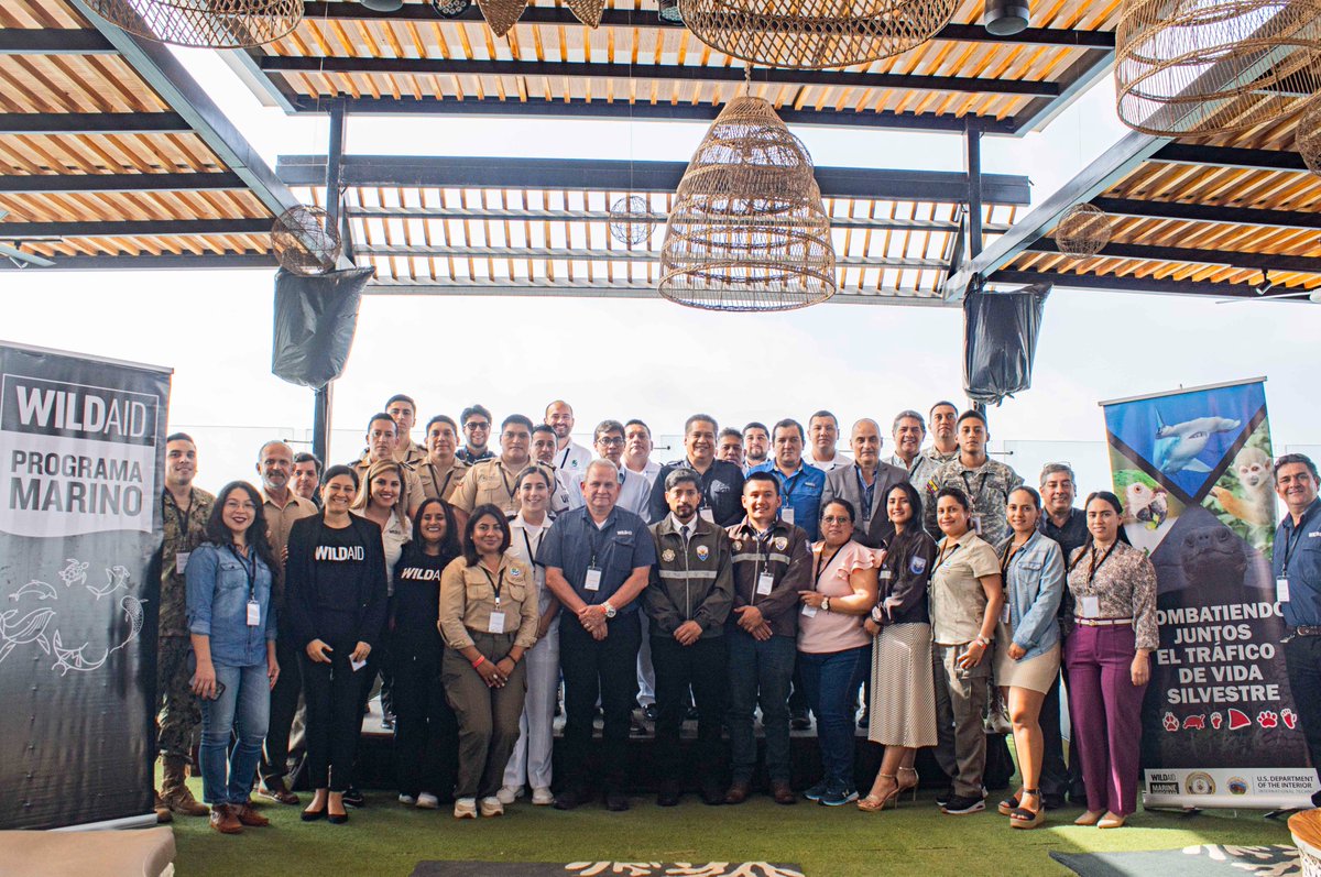 WildAid Latinoamérica tweet media