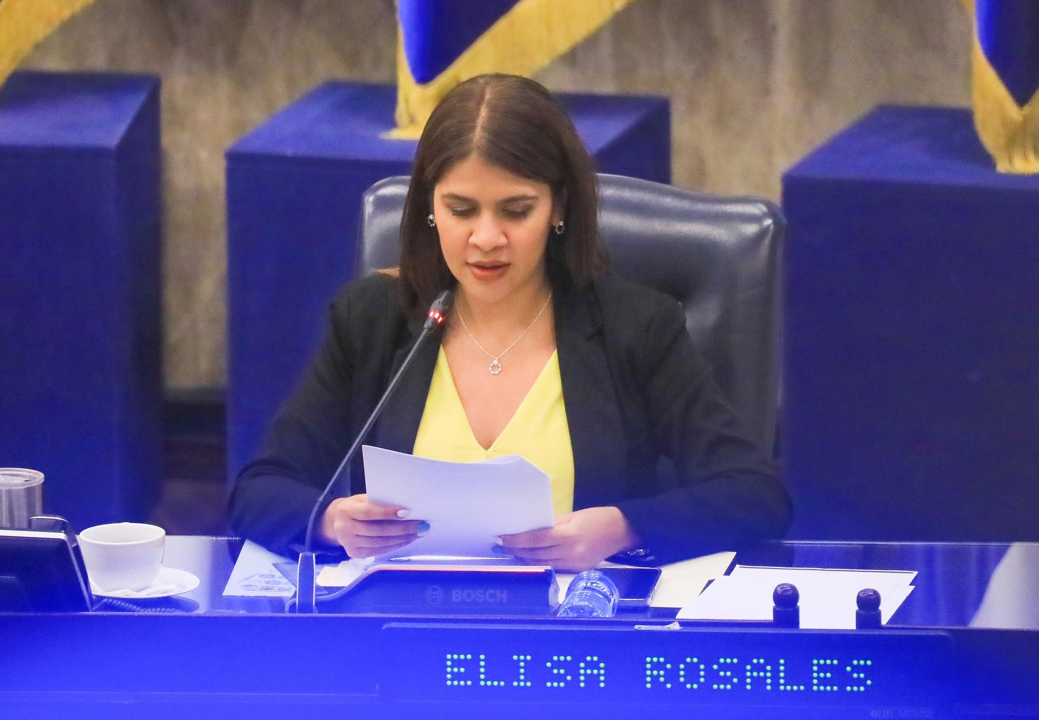 Asamblea Legislativa ???????? on X: "#Plenaria16 | La diputada @Elisa_Rosalesv lee la pieza de correspondencia que contiene Contrato de Garantía para préstamo entre @FOVIALITO y @BCIE_Org, con el objetivo de que esta