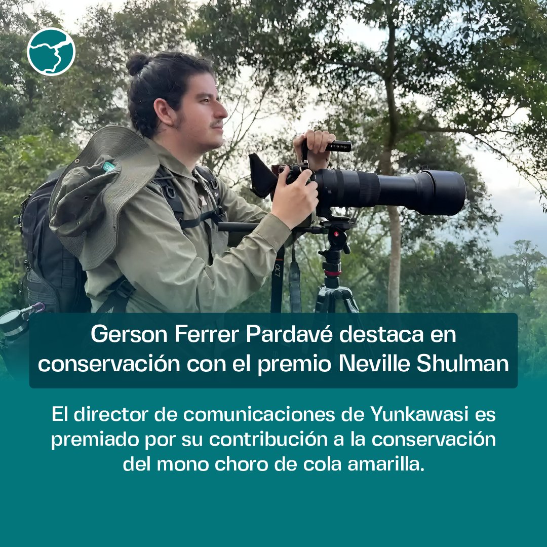 🏆 ¡Gran noticia para la conservación en #Perú! 
Gerson Ferrer Pardavé, de <a href="/Yunkawasi/">Yunkawasi</a>, ha sido galardonado con el prestigioso premio Neville Shulman. Este reconocimiento permitirá crear un documental sobre el mono choro de cola amarilla.

inforegion.pe/peruano-es-pre…
