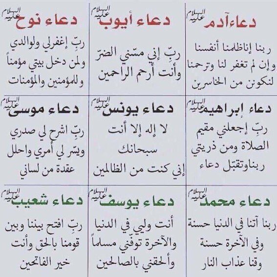 ⚚.فارس tweet media
