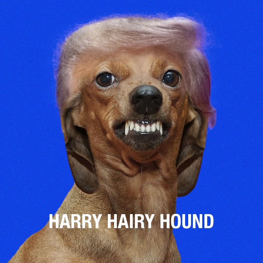 EddieOnChain's tweet photo. @unclebobcrypto $HARRY https://t.co/x2rHSNzFzu