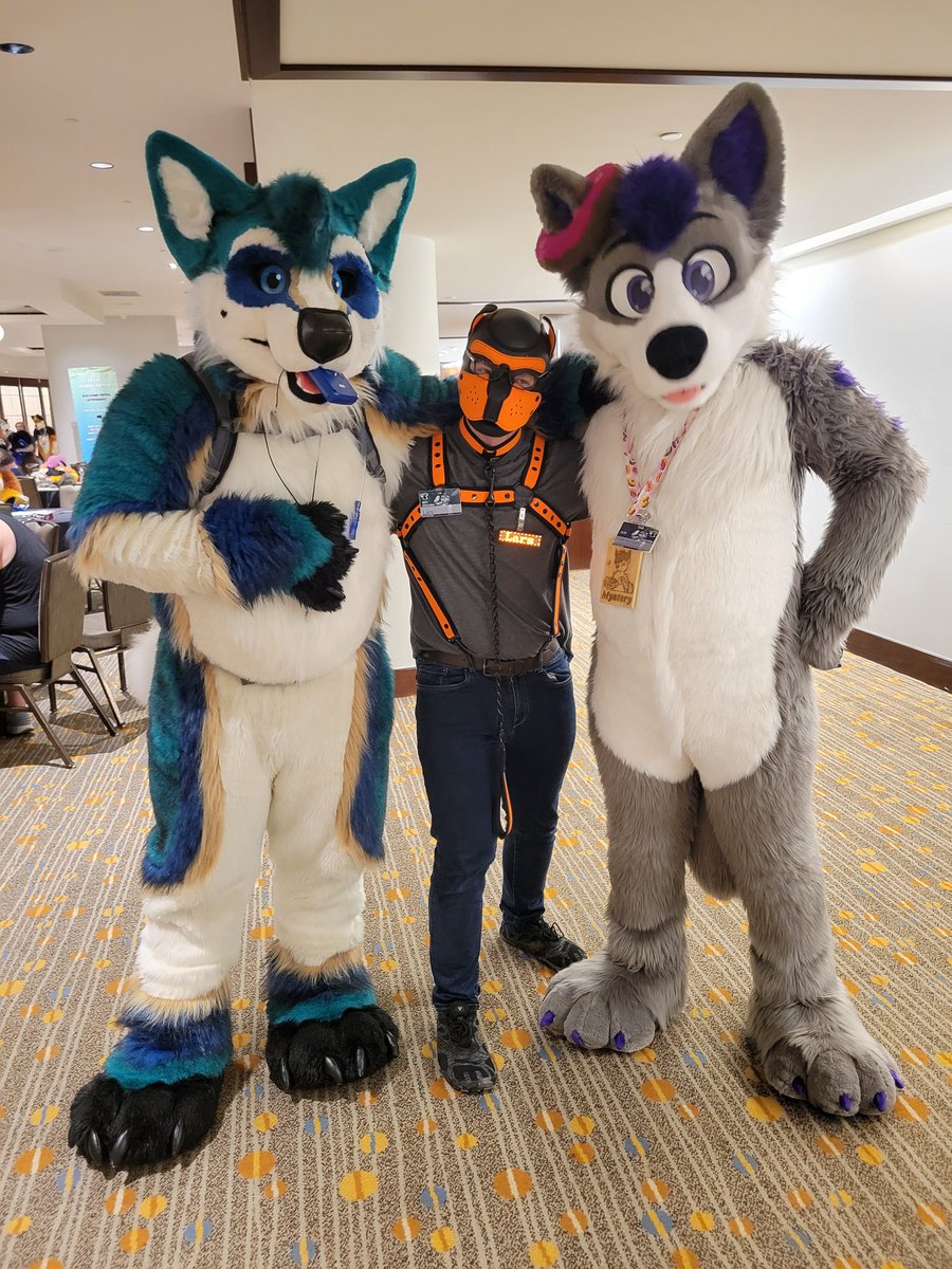 Lars 🔜 TFF tweet media