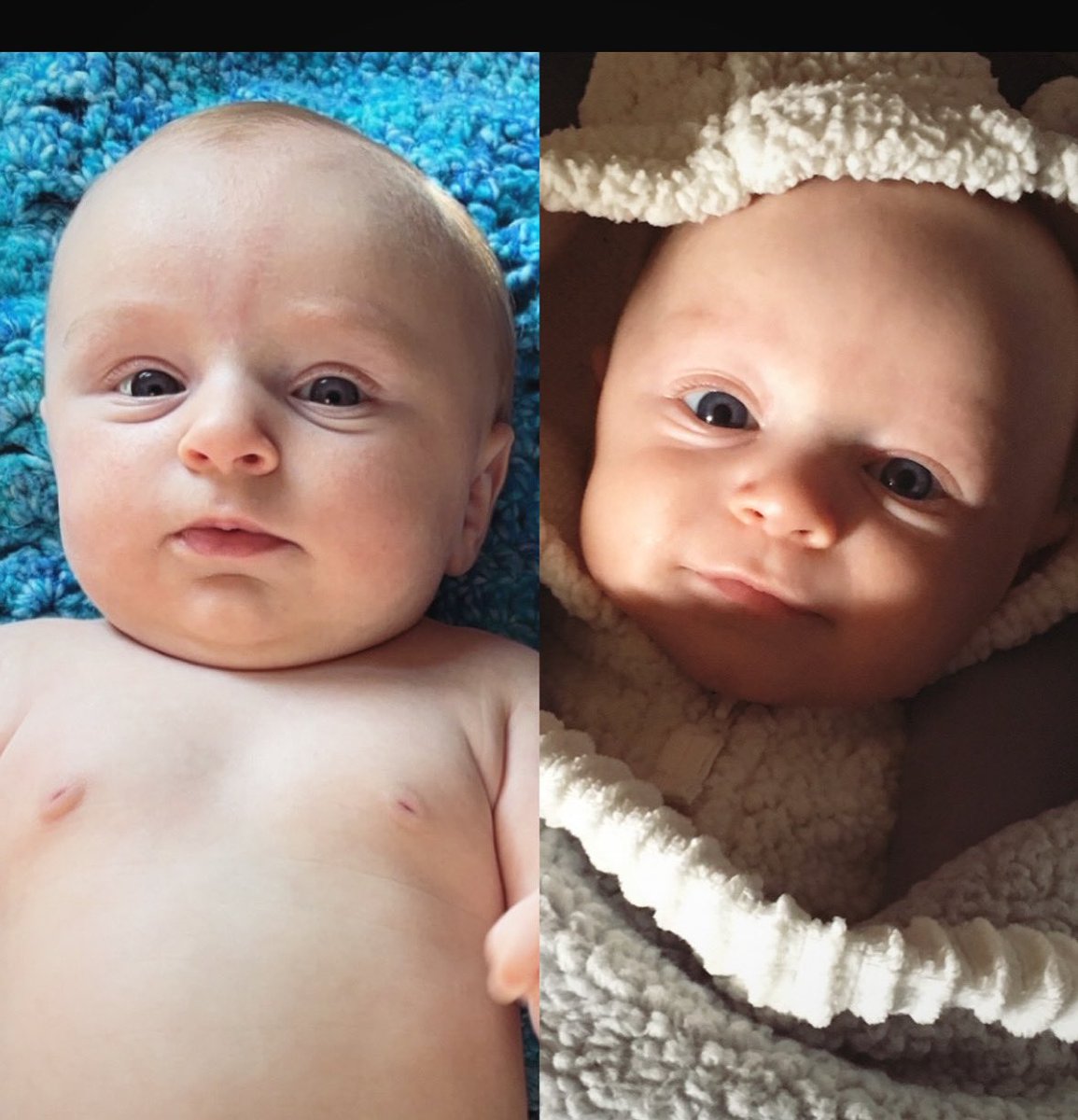 Can’t get over how similar these two are!