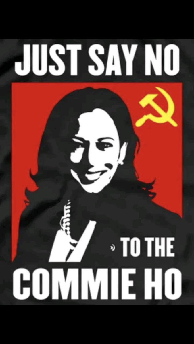 Secure The Vote 2024. Don't let Liberals steal the election.