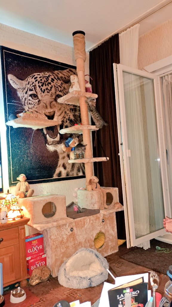 Mit gut zehn Wochen wird die dritte Ebene erkundet. Da kommt noch viel Bastelarbeit auf mich zu. Ich freu mich.