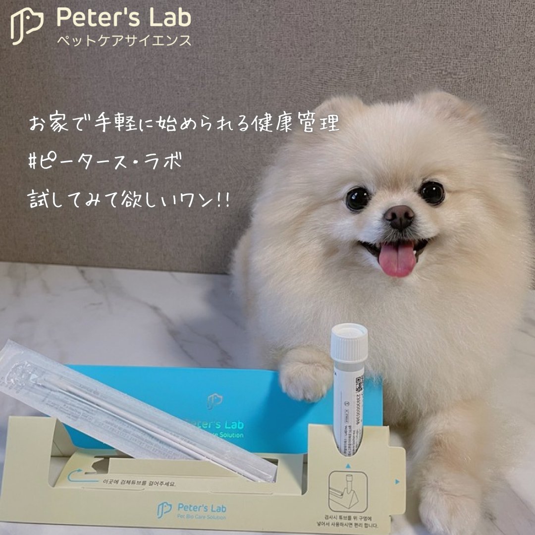 PetersLab_JP's tweet photo. 今すぐペットの健康管理を始めよう!
病気になる前に #ピータースラボ してください😺
#peterslab #ピータースラボ #ペットケア #ペット遺伝子検査 #ペット健康検査 #犬の健康診断 #猫の健康診断 #わんこ #にゃんこ #ふわもこ部 #いぬすたぐらむ #ねこすたぐらむ #犬のいる暮らし #猫のいる暮らし https://t.co/PQooLXY4fg