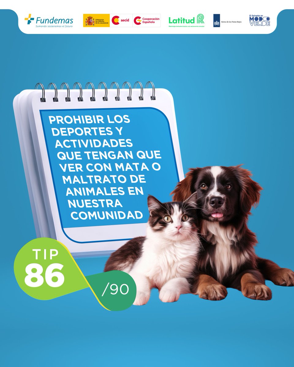 TIP 86 de 90
CONSEJO DEL DÍA:🐓🚫Promueve campaña para proteger la fauna en tu comunidad. ¡Recuerda! Ellos también sienten.🐂🚫

#EstoyEnModoVerde #ModoVerde #Sostenibilidad #CambioClimático #ElSalvadorVerde <a href="/FUNDEMAS/">FUNDEMAS</a> <a href="/Latitud_R/">LatitudR</a> <a href="/AECID_es/">AECID</a>