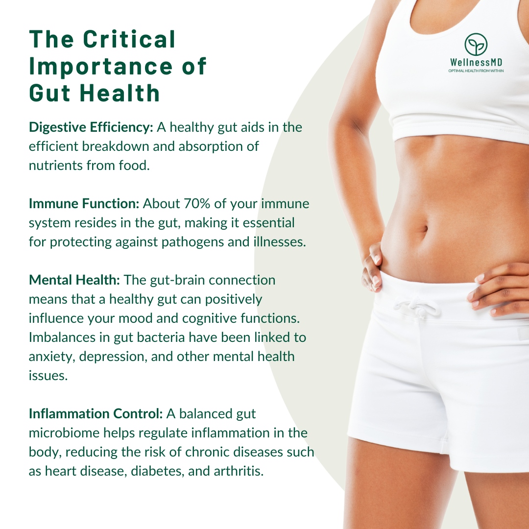 WellnessMDTeam's tweet photo. Your gut health impacts your entire body. Take care of it. Need help? Contact us for a consultation. 

#guthealth #gutbiome #healthybodies #healthtips #facts #medicaldoctor https://t.co/yBt6blMy3A