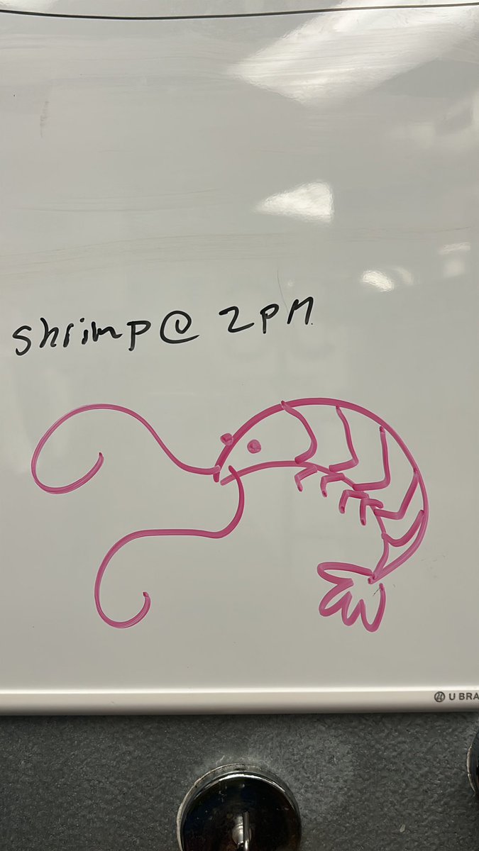 KikoStarburst's tweet photo. Shrimp @ 2 pm https://t.co/W8NEYzqyVK
