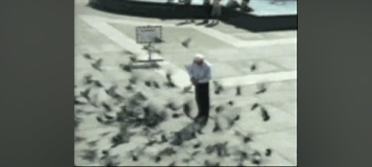 Fernando Villamontes tweet media