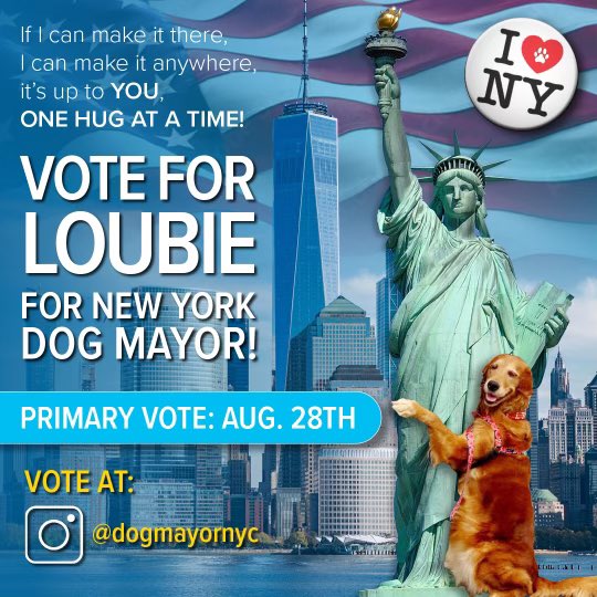 TheHuggingDog's tweet photo. It’s up to you! 🗳️ Vote for me to be the next Honorary Dog Mayor of NYC 🗽 Next Wed Aug 28 for 24 hours you can vote here @DogMayorNYC You can also vote on FB and IG 🗽 You can vote in all 3 platforms. Let’s do it together and make NYC a huggable city 🤗 #LoubieForNYCDogMayor https://t.co/jLVnK35OVr