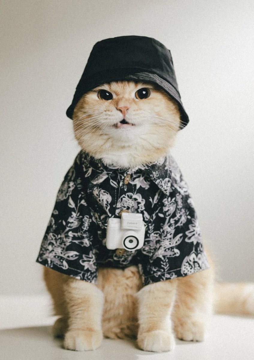 _Lennart13_'s tweet photo. https://t.co/93XKWcXjNF