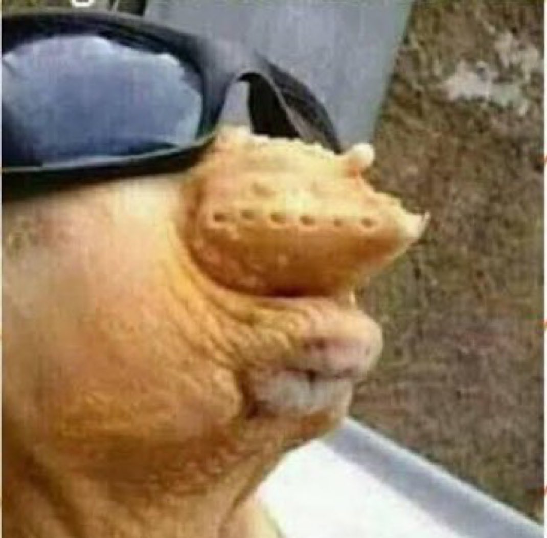 cantadasdointer's tweet photo. Fui falar com ela, mas ela ta assim. Não entendi o que houve kkkk https://t.co/JrXfuMhAOG
