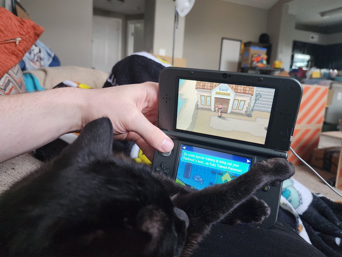 PrintedDiff's tweet image. Taking a mental health break from the stress of packing to put some more hours into some older pokemon games and I guess the potato wants to play too 🥰