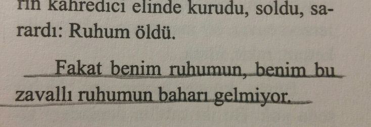 b (@brontesv) on Twitter photo 