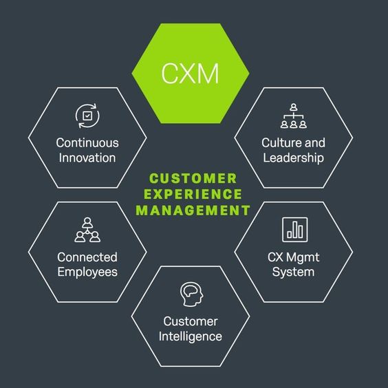 Xceltrait's tweet photo. #Infographic: Explore the #CustomerExperienceManagement which includes the Five Competencies of #CXSuccess! 

#CustomerExperience #CXStrategy #CustomerJourney #ExperienceDesign #CXLeadership #CX #CustomerInsights #CustomerCentric

cc: @CurieuxExplorer @HaroldSinnott https://t.co/PIXEPjMIKU