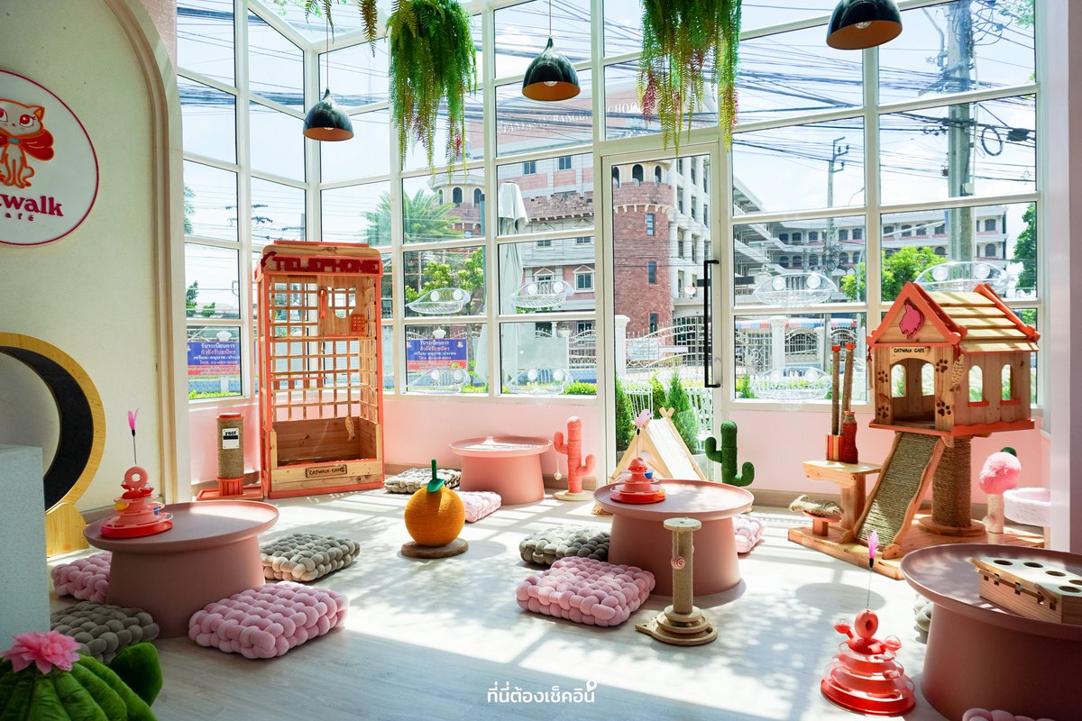 #ที่นี่ต้องเช็คอิน tweet media