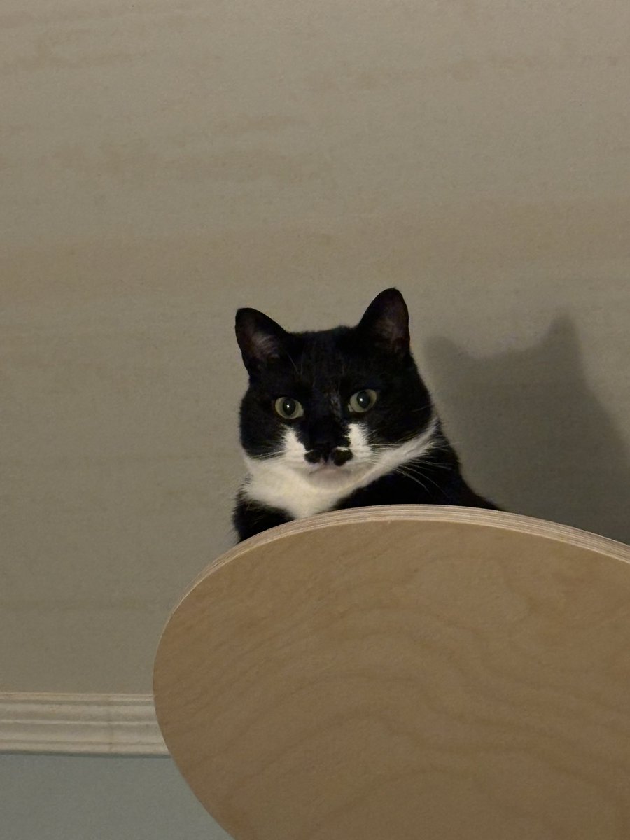 내가 아는 놈도
바보다