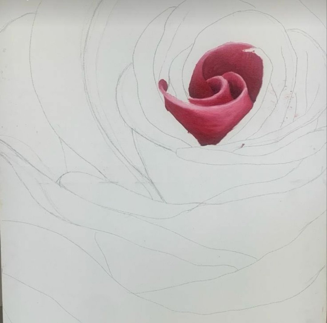markazhinarayan's tweet photo. "Every bloom gleams sensuously,  
Its scent seductive when it is your own secret rose.  
Our self blooms in solitude, unseen and sacred." 
Hv a great day! https://t.co/nLAaSFdxbF