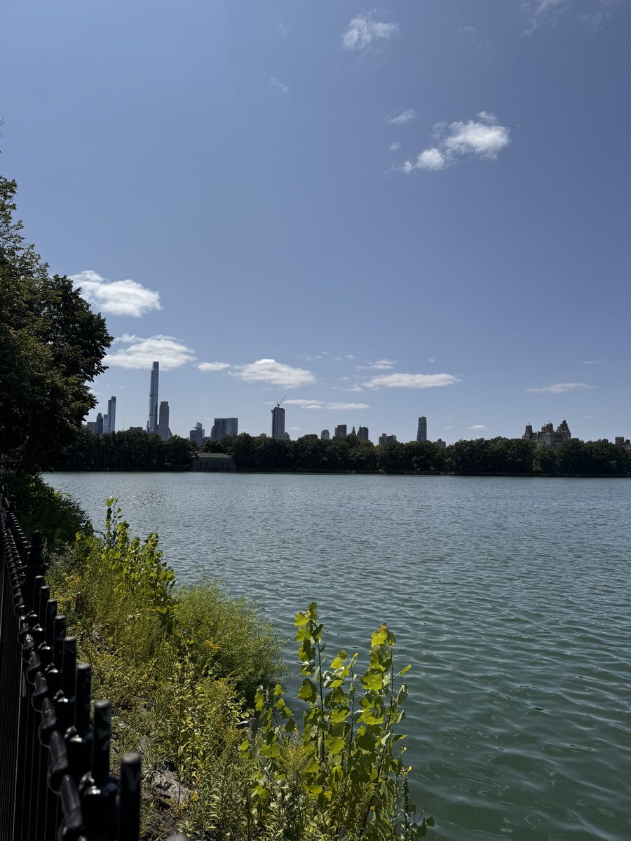 Hayato Huseman tweet media