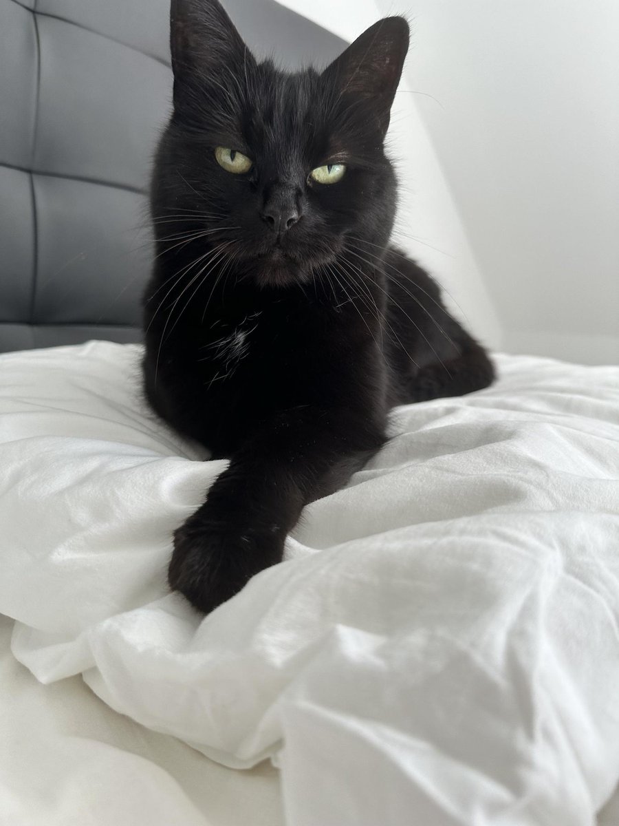 Shiny🦋 tweet media