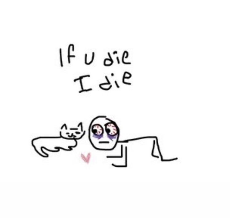 Punch Cat (@punchingcat) on Twitter photo 