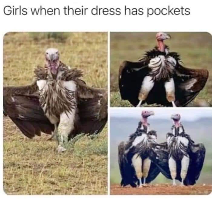 Accurate 😂